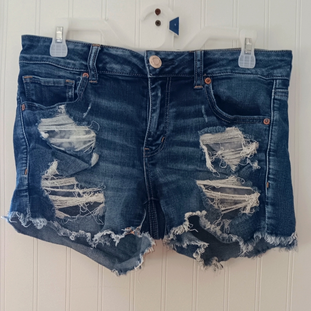American Eagle Outfitters Women's Shorts Size 10